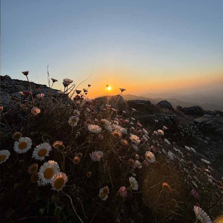 George Everest Camping – Scenic Himalayan Views and Adventure Activities in Nature