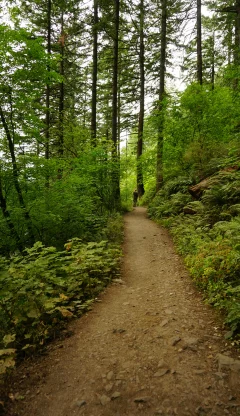 Soul-stirring Himalayan adventures with Pahadi House — Uttarakhand experiences