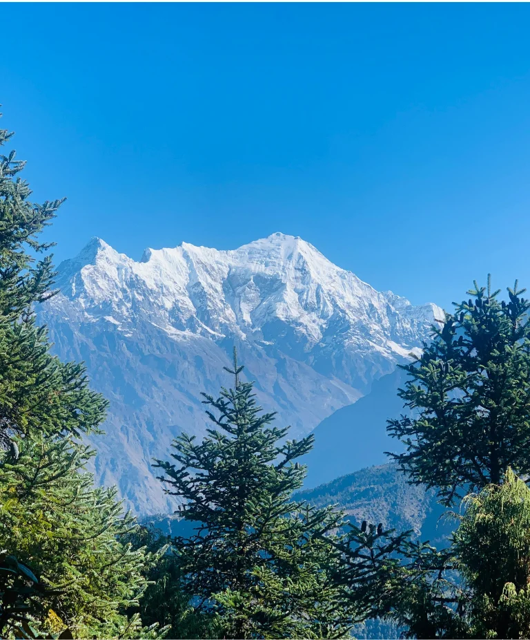 Pahadi House | Eco-conscious mountain homestays and camping in Uttarakhand | Sustainable Himalayan travel