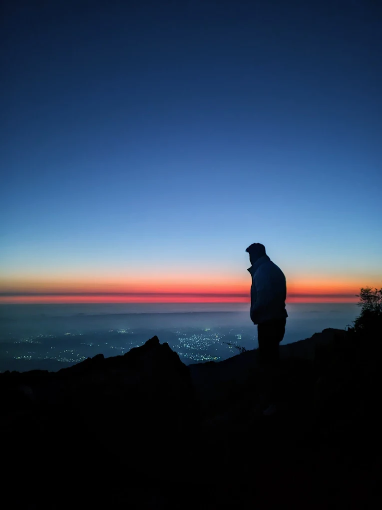 Dusk silhouette with city lights
