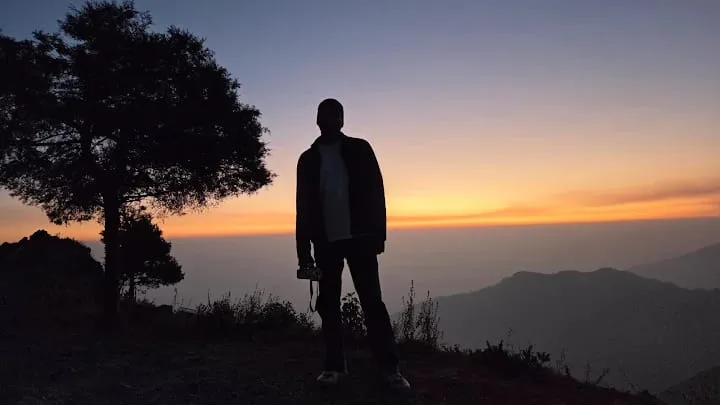 Tree silhouette at sunset