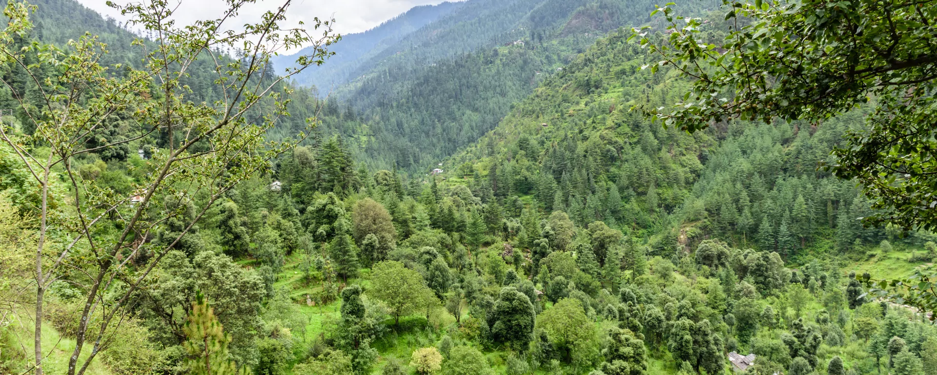 Evening light on Himalayan peaks from the trail