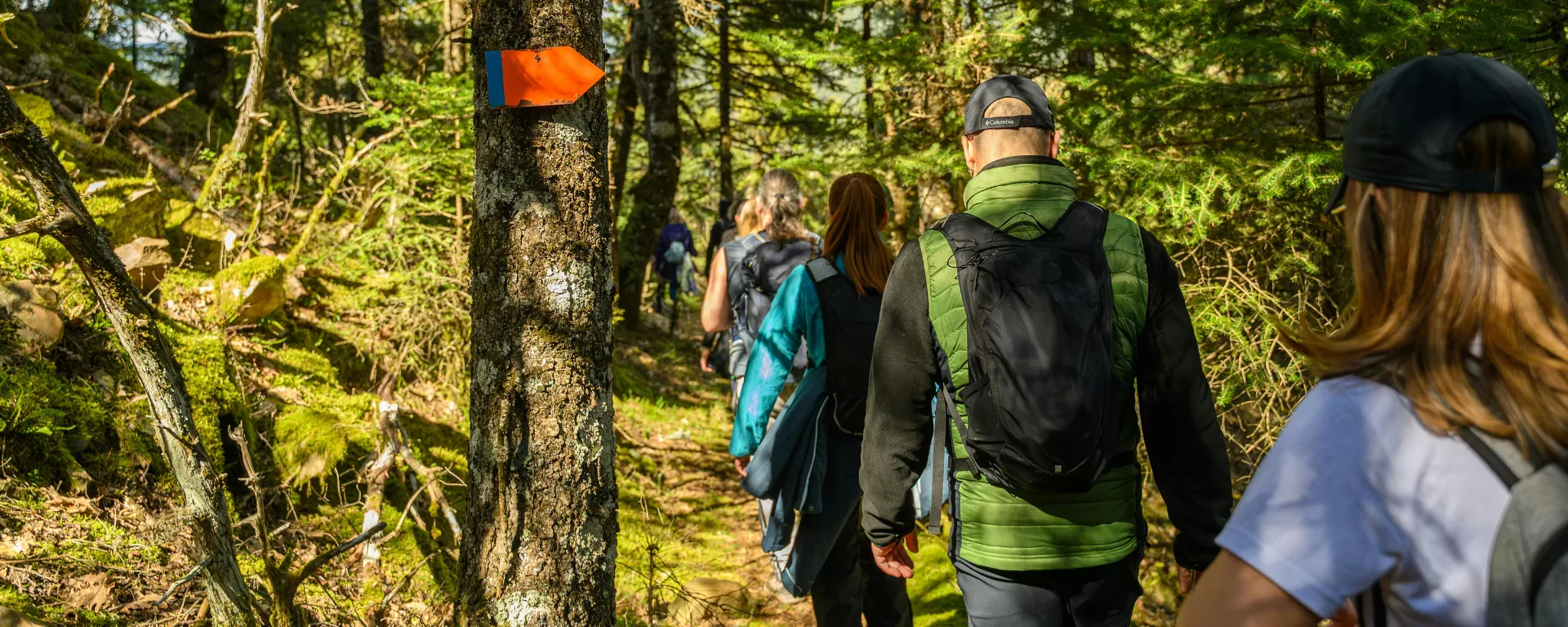Panoramic view of the Garhwal Himalayas from a trail summit