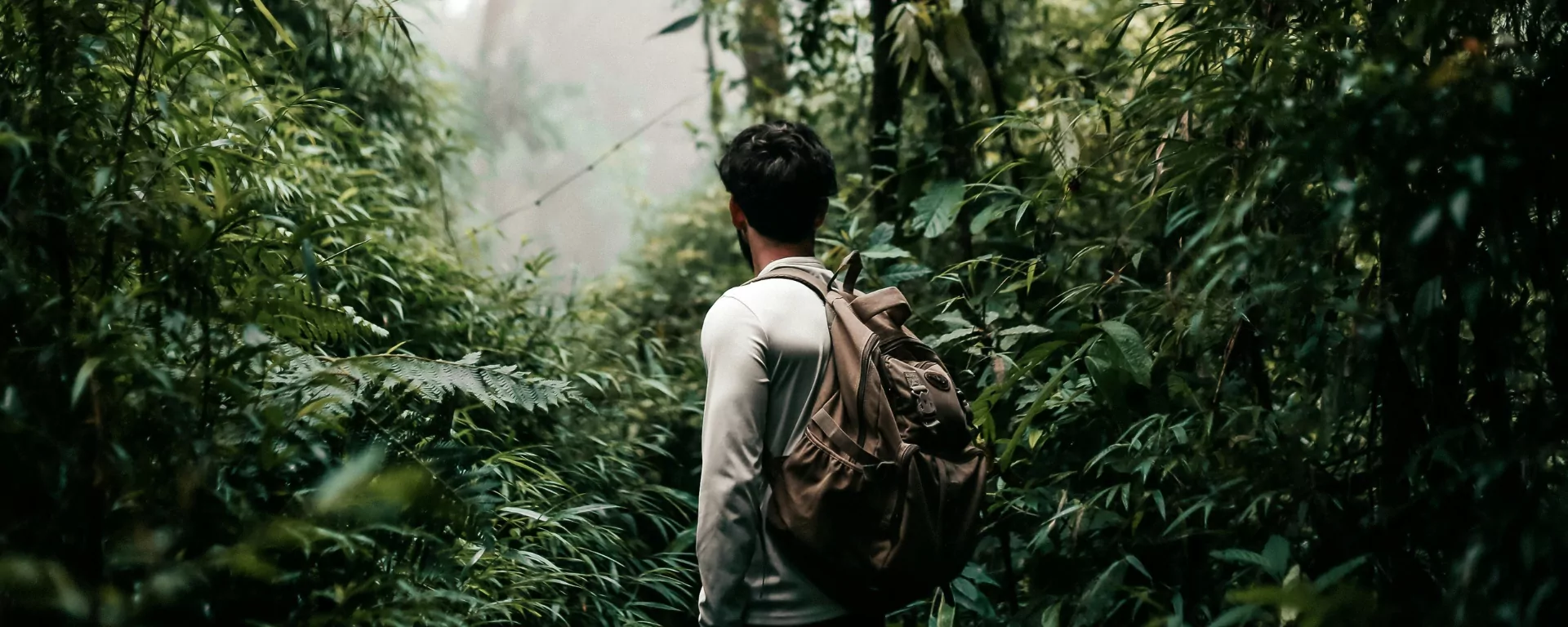 Wildflowers and rhododendron blooms beside the path