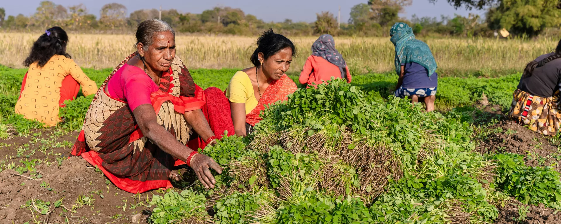 Freshly prepared Garhwali dish with local ingredients at Pahadi House