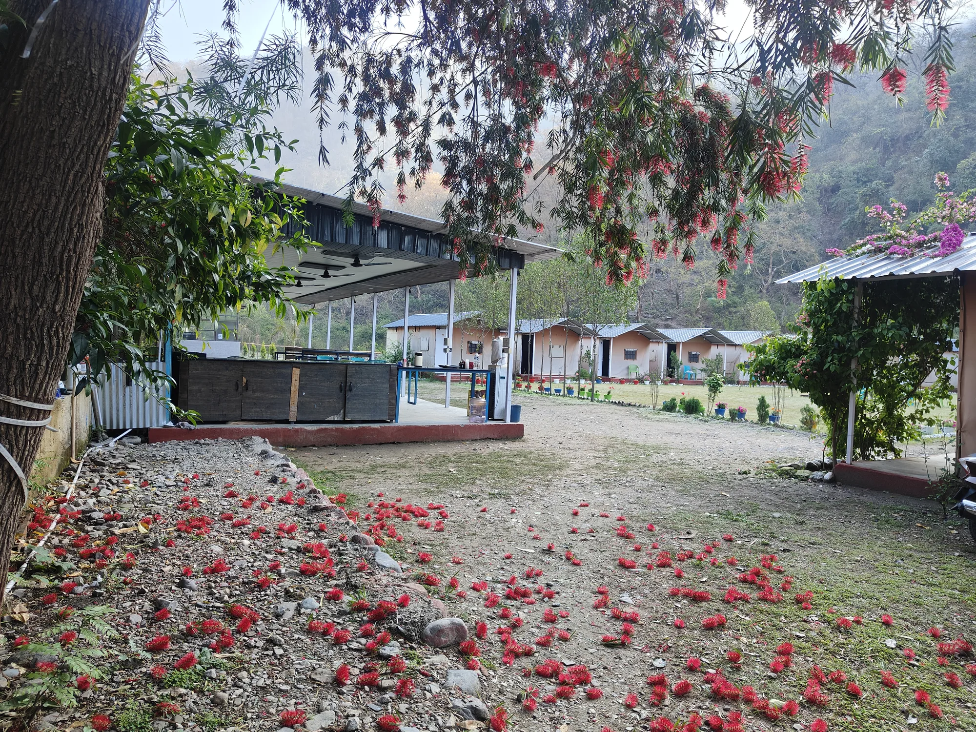 Himalayan Ganga Retreat — riverside view