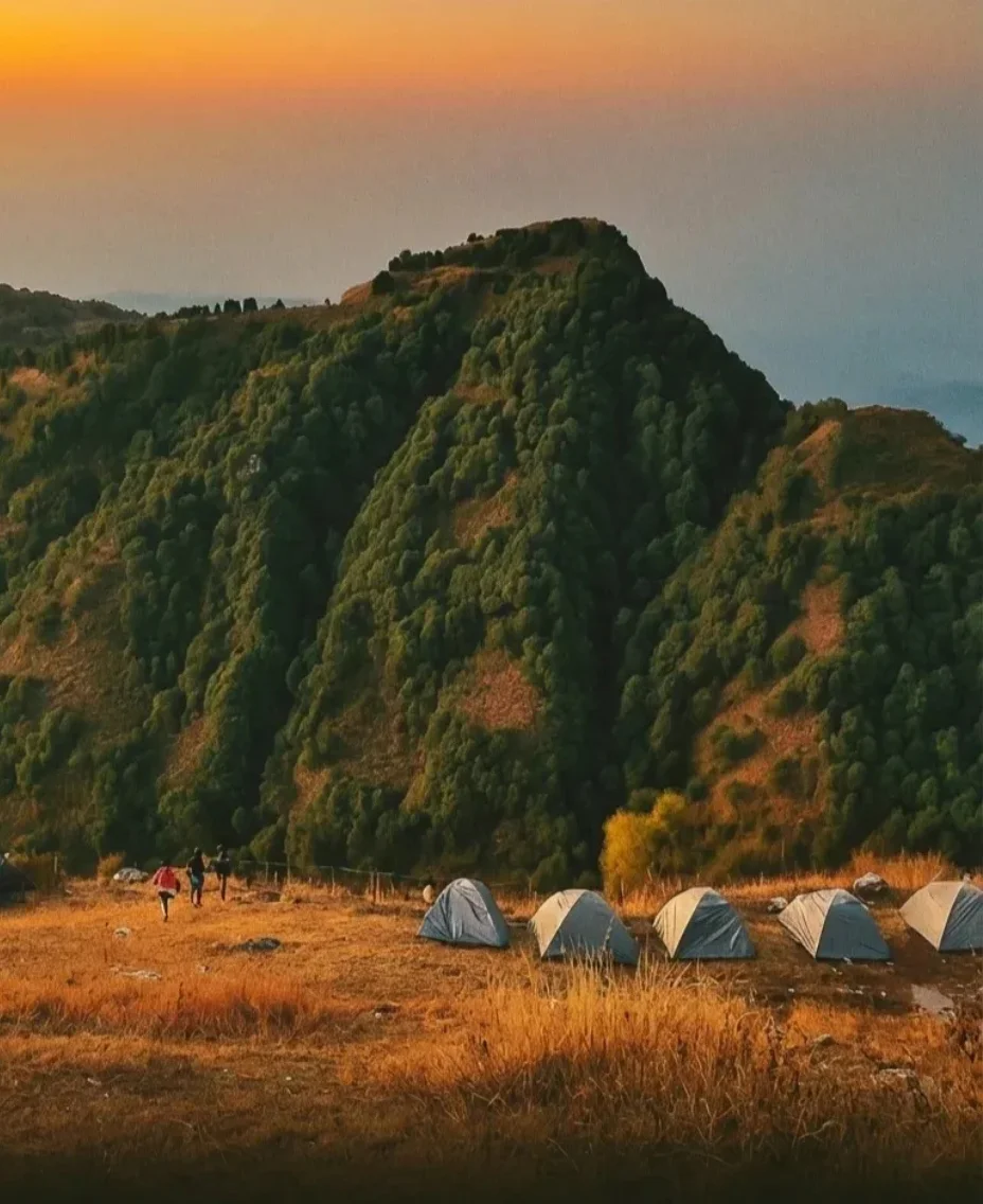 Tents pitched on a Himalayan meadow at golden sunset in Uttarakhand
