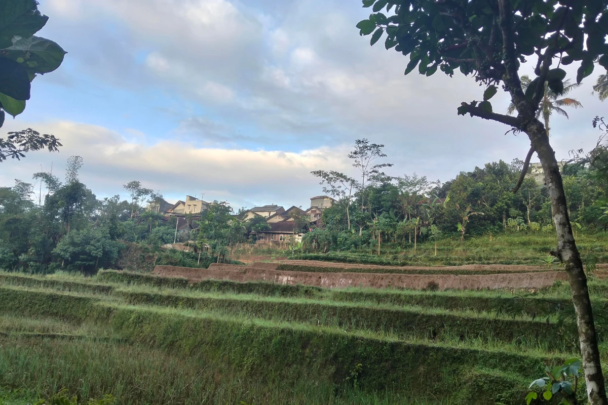 Village walks and pahadi culture experiences with Pahadi House Uttarakhand