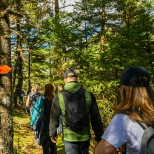 Local pahadi host walking ahead on a misty deodar forest trail