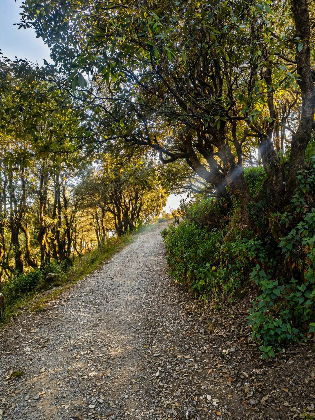 Pudina Khet Nature Reserve 4