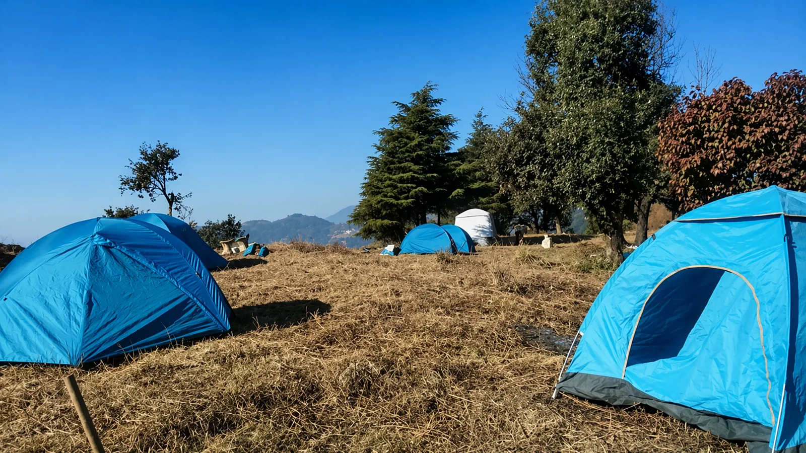 Pudina Khet Nature Reserve 10