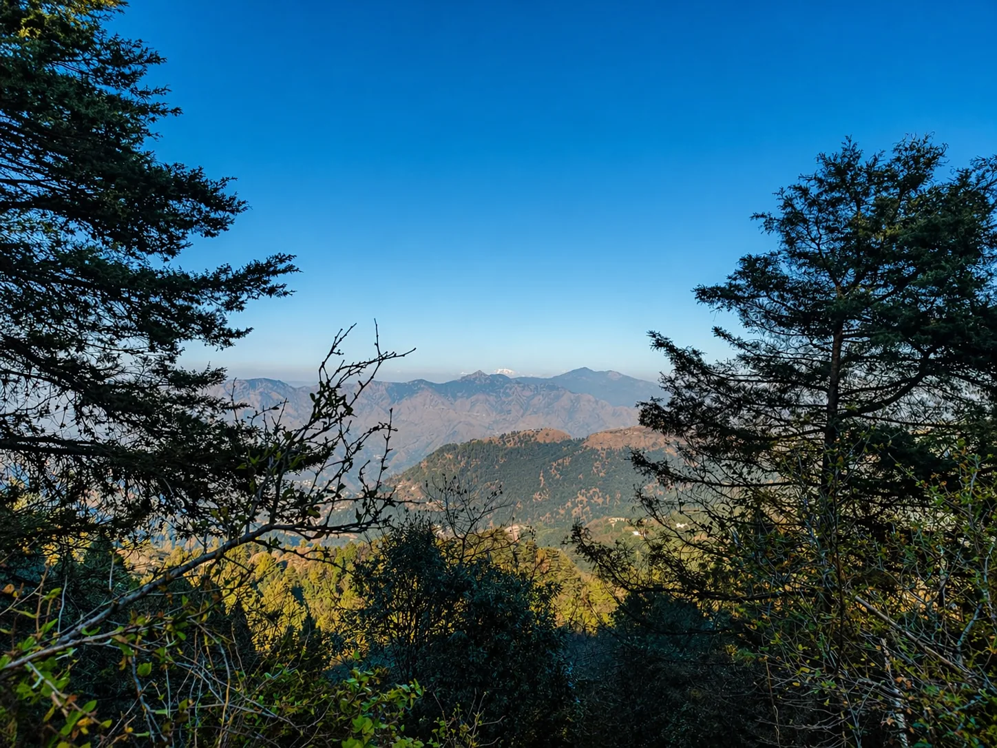 Pudina Khet Nature Reserve, Hathipaon