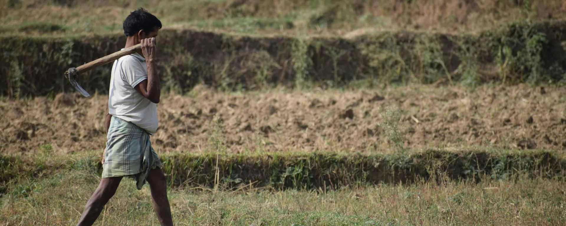 Local farmer working a terraced field
