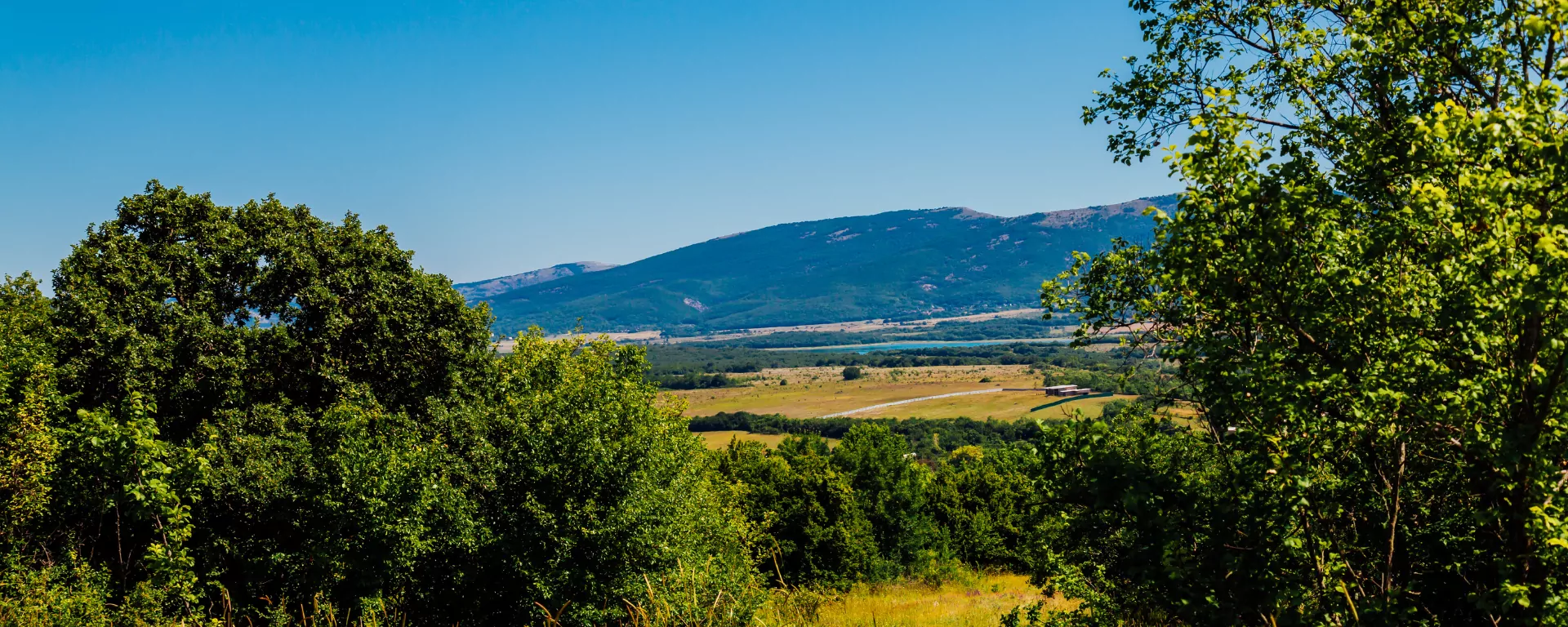 Narrow stone-paved village lane