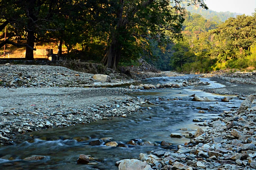 Forest stream in the Manikut valley near Rishikesh, beside the retreat