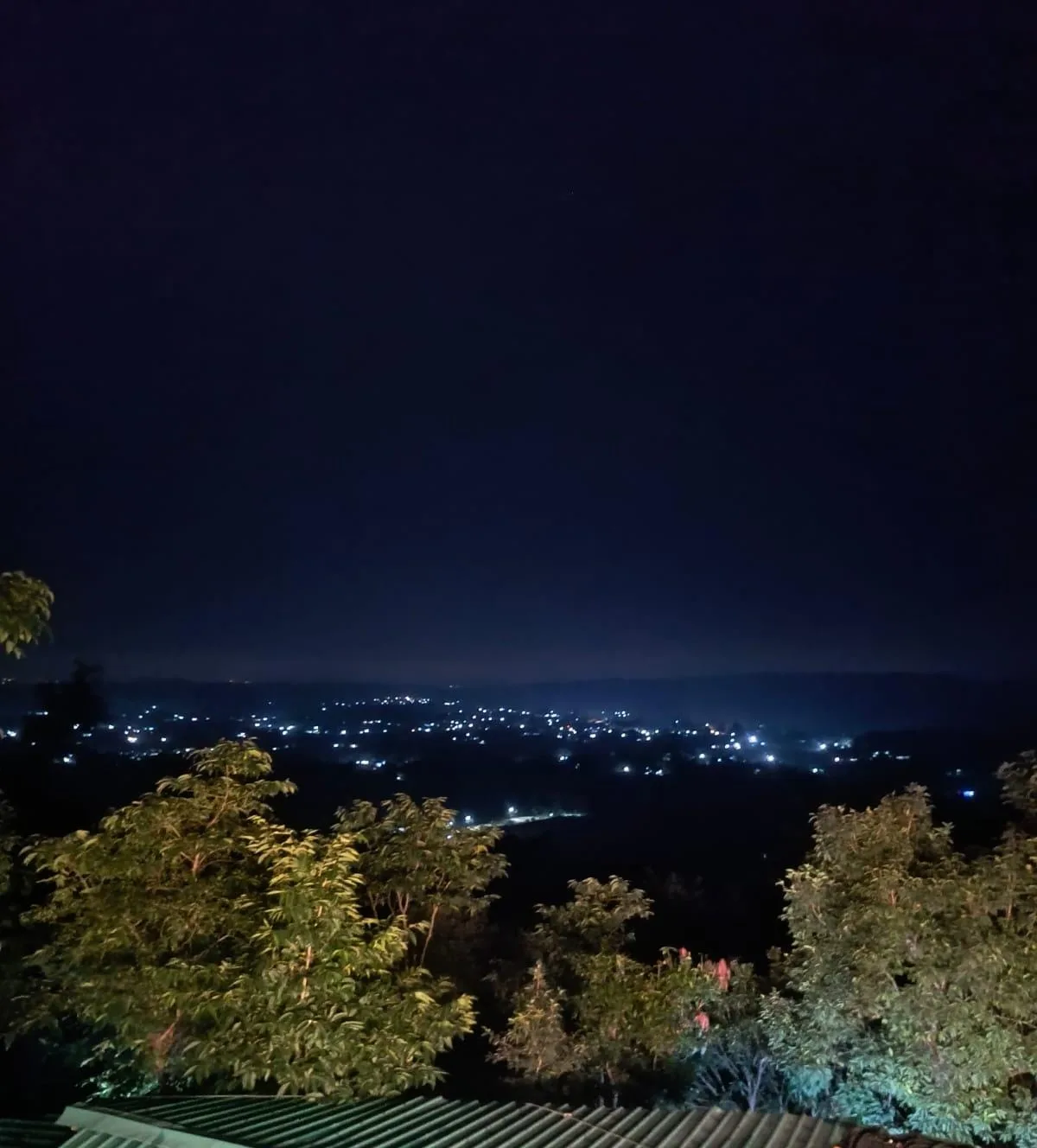 Pet-friendly birding retreat in Kotabagh near Jim Corbett NP
