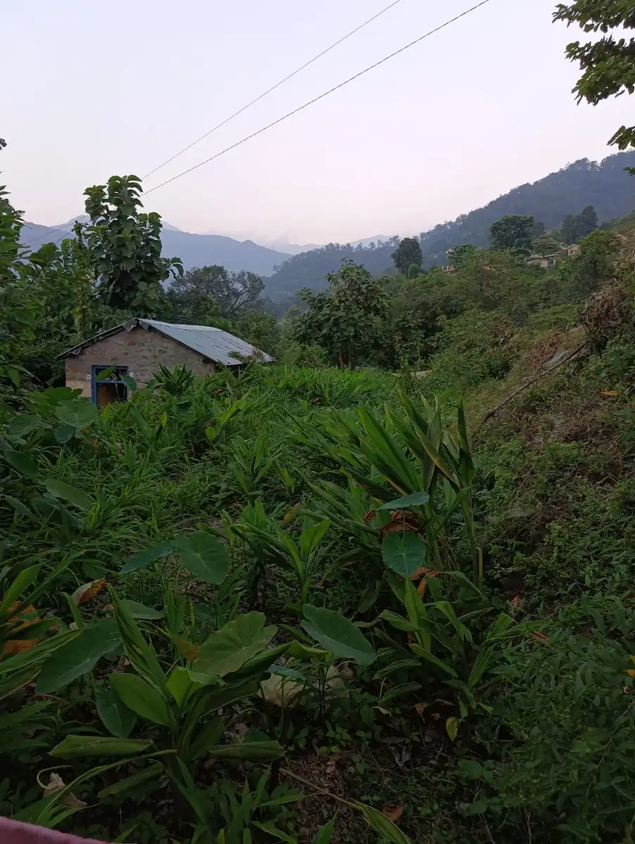 MAP plan stay at Kotadun Birding Retreat — breakfast and dinner included