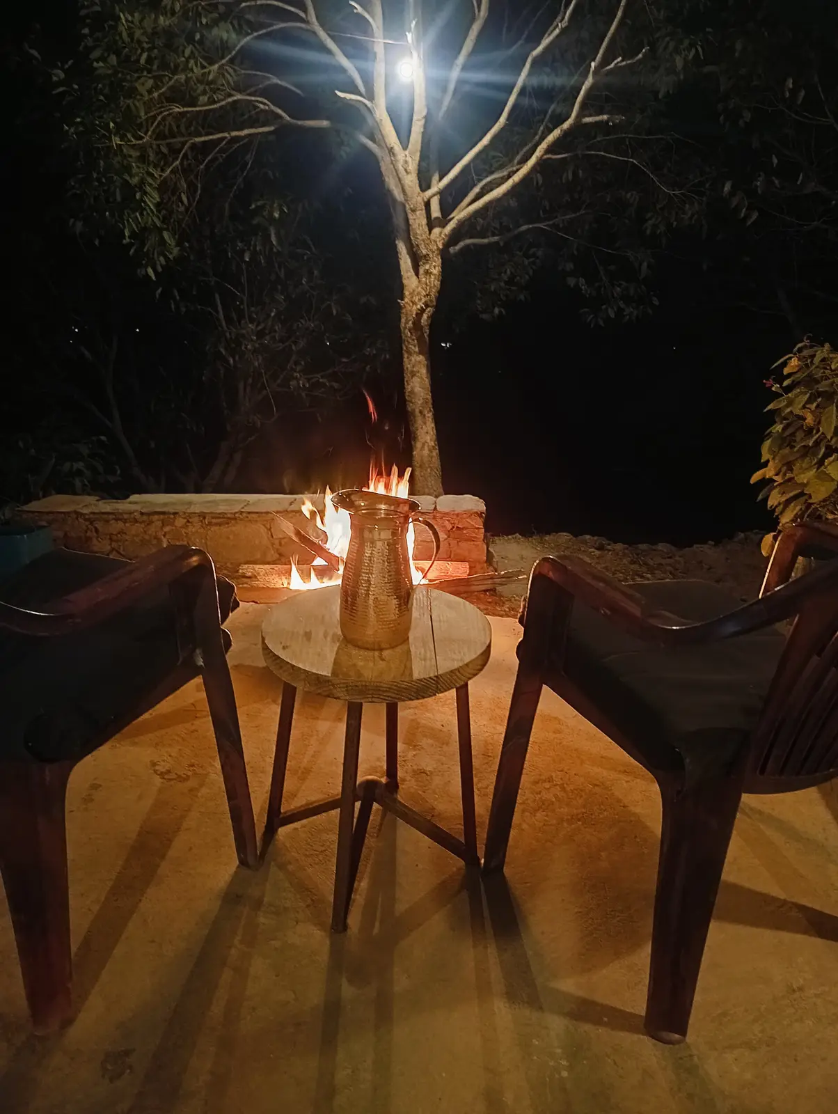 Outdoor gardens at Kotadun Birding Retreat, Ramnagar Uttarakhand