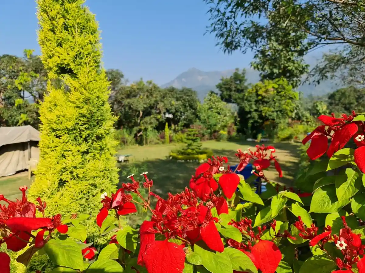 Gardens and nature surroundings at Kotadun Birding Retreat, Kotabagh
