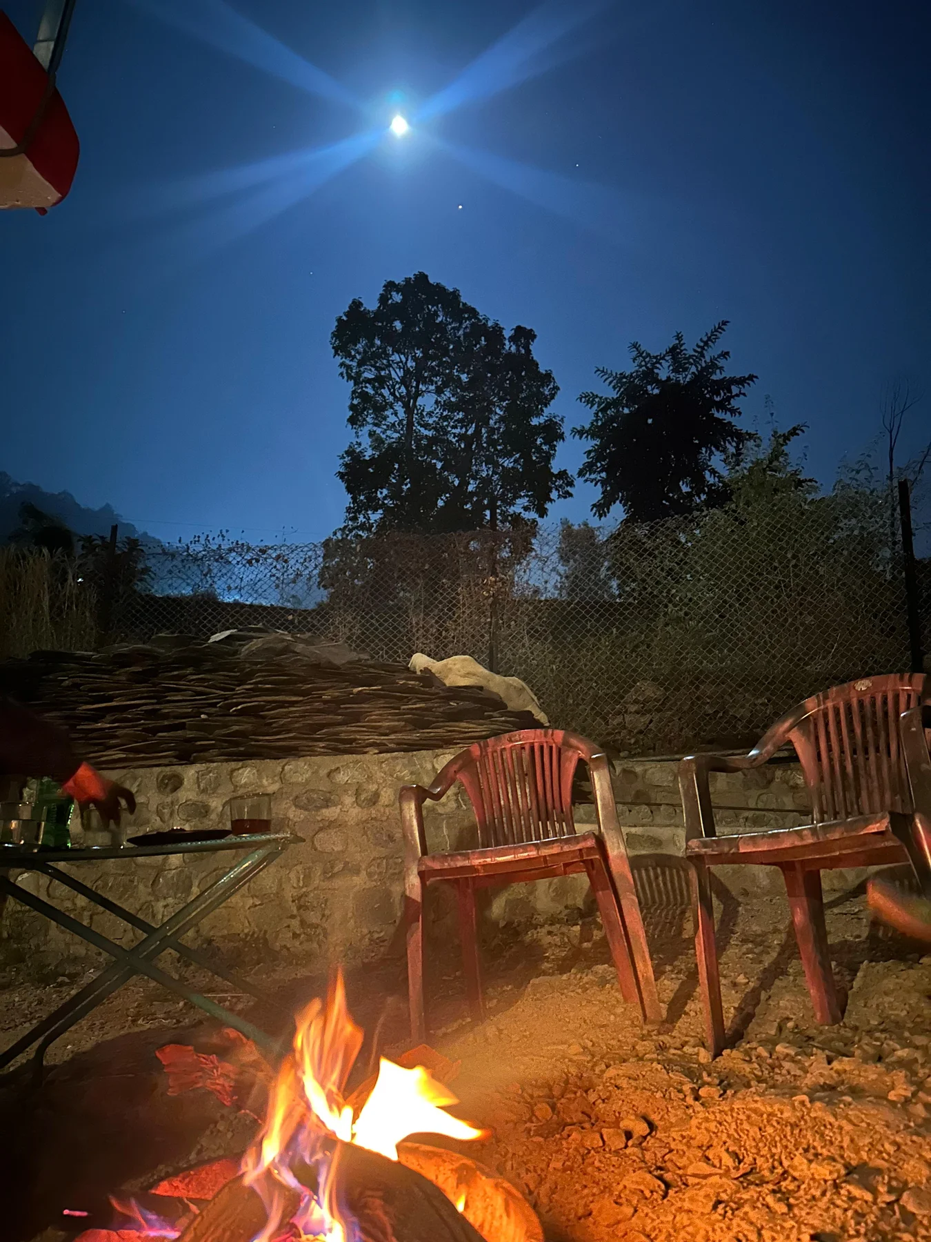 Wildlife corridor and forest near Kotadun Birding Retreat &mdash; Jim Corbett tiger reserve country