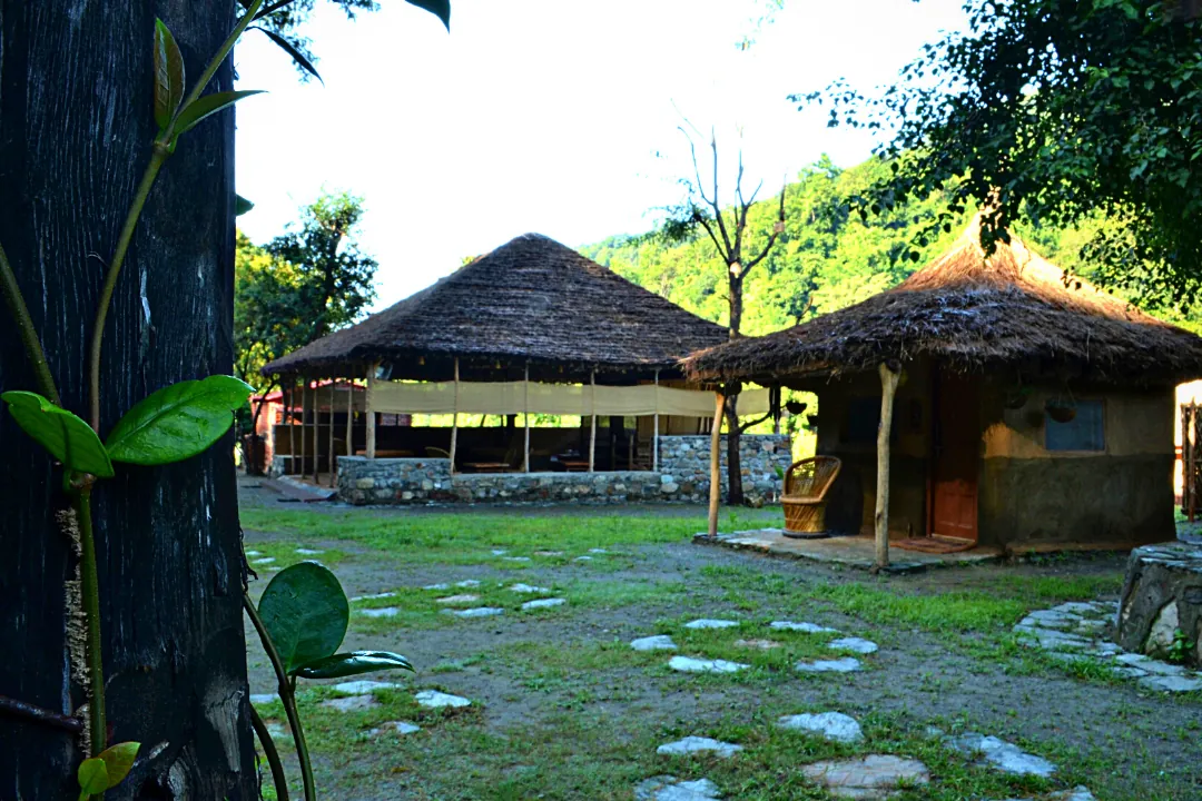 Luxury Forest Tent stay at the Rajaji National Park forest rest house, thatched forest lounge