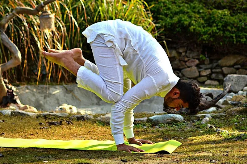 Open-air yoga session at the Rajaji forest rest house near Rishikesh