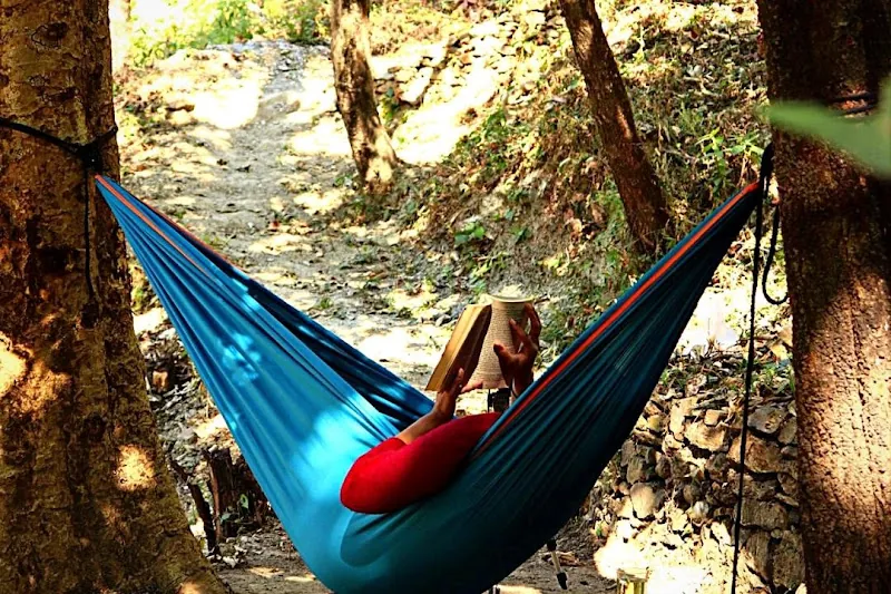 Relaxing in a hammock under the trees at the Rajaji forest retreat