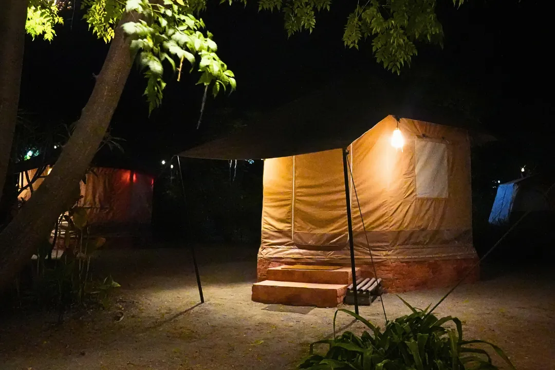 Luxury tents glowing at night at the wilderness retreat near Rajaji Tiger Reserve