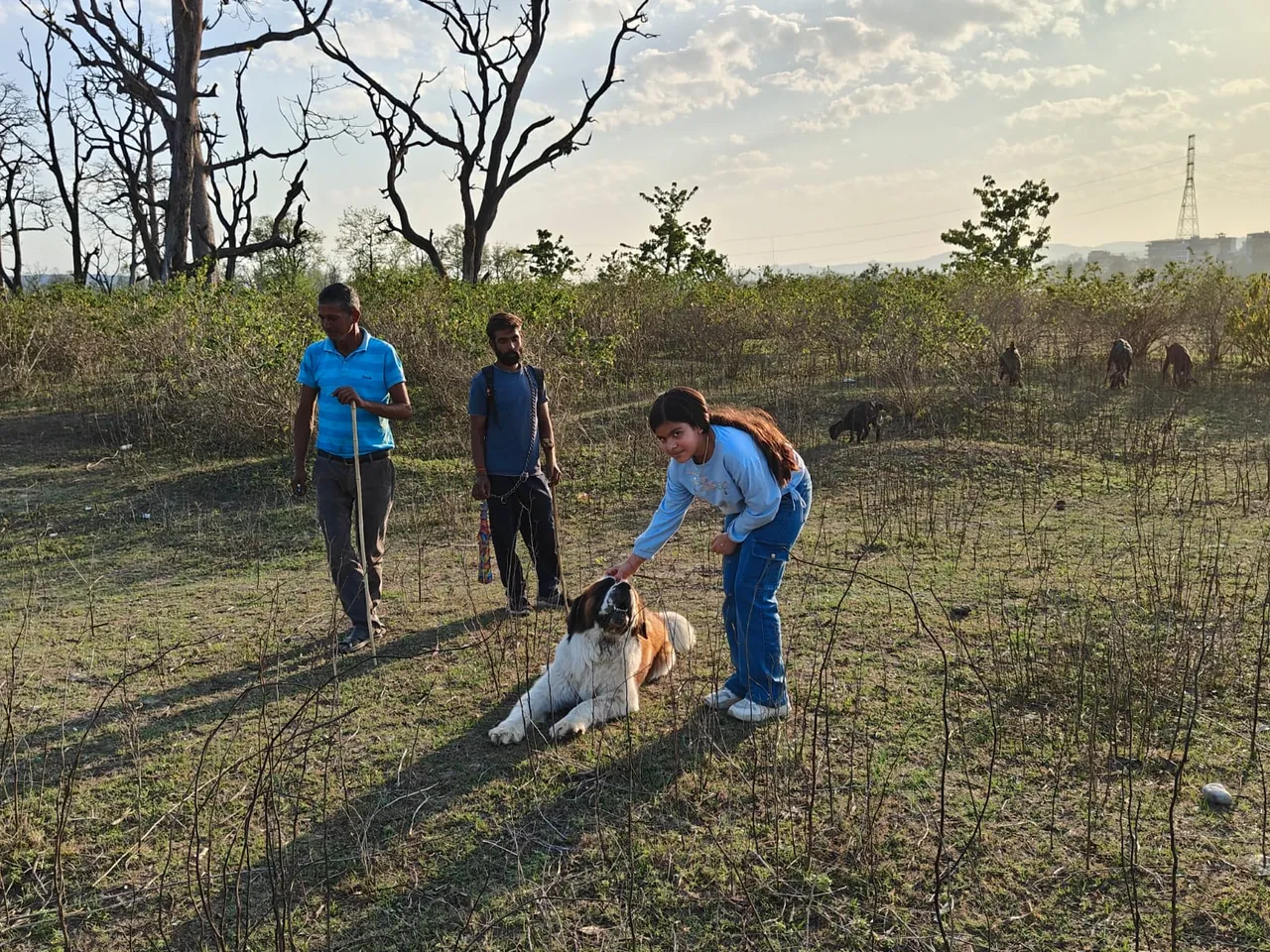 A child greeting a friendly dog on a walk near the Kotabagh farmstay, Corbett