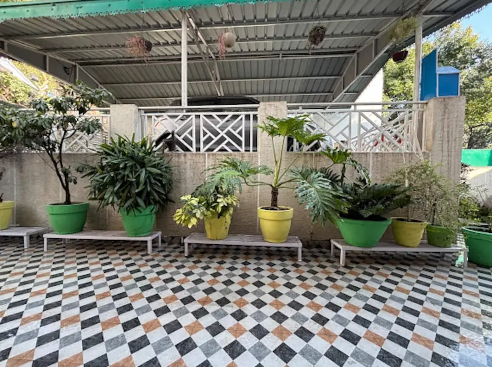 Covered tiled patio lined with potted plants at Prembasant Homestay