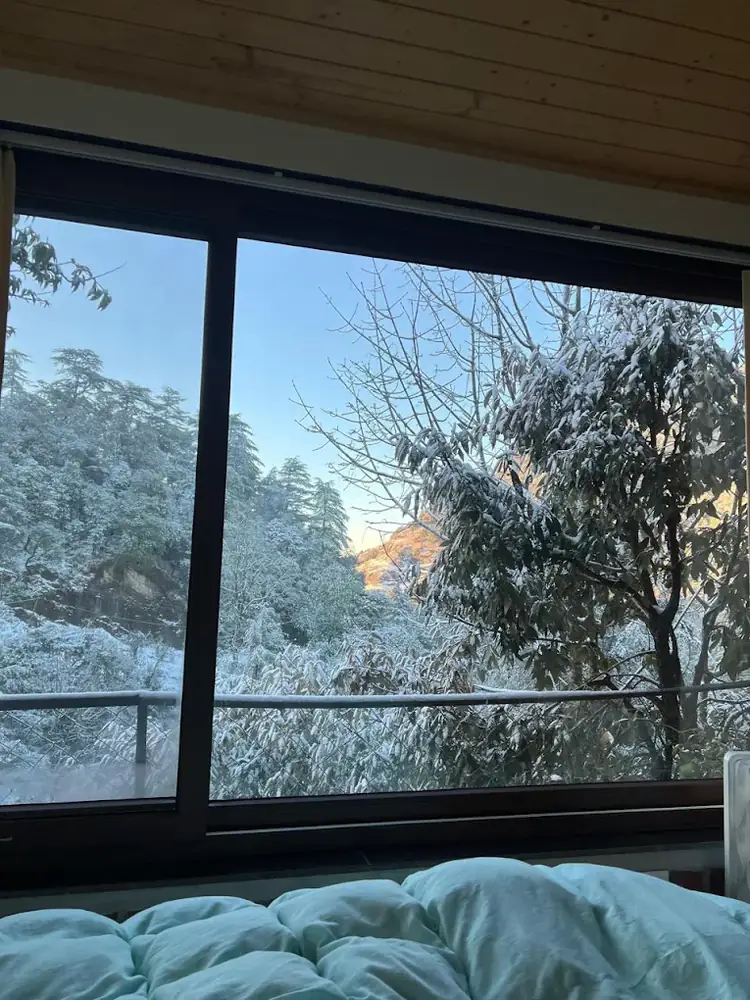 Glass House room at Seegreen Mussoorie with floor-to-ceiling windows onto the forest