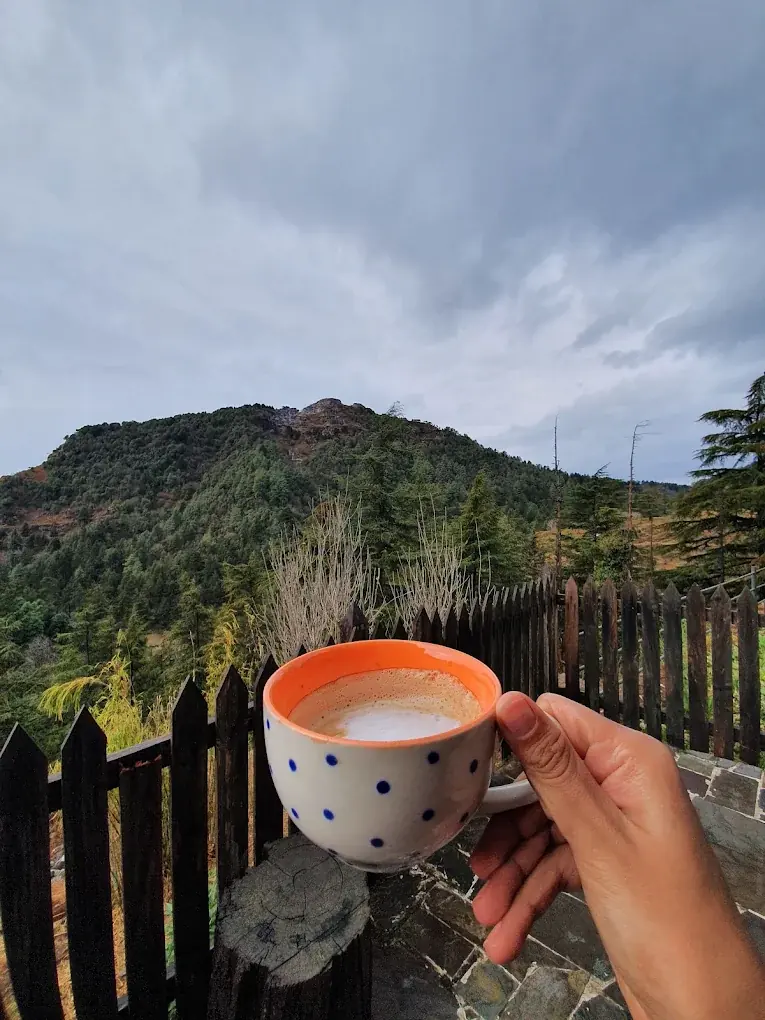 Cup of tea with a mountain view at Seegreen rooftop cafe, Mussoorie