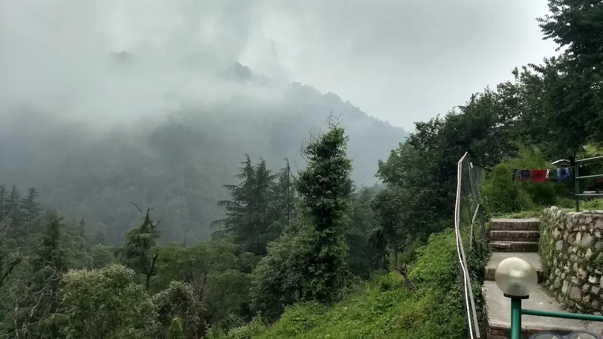 Misty forested hillside around Seegreen Mussoorie