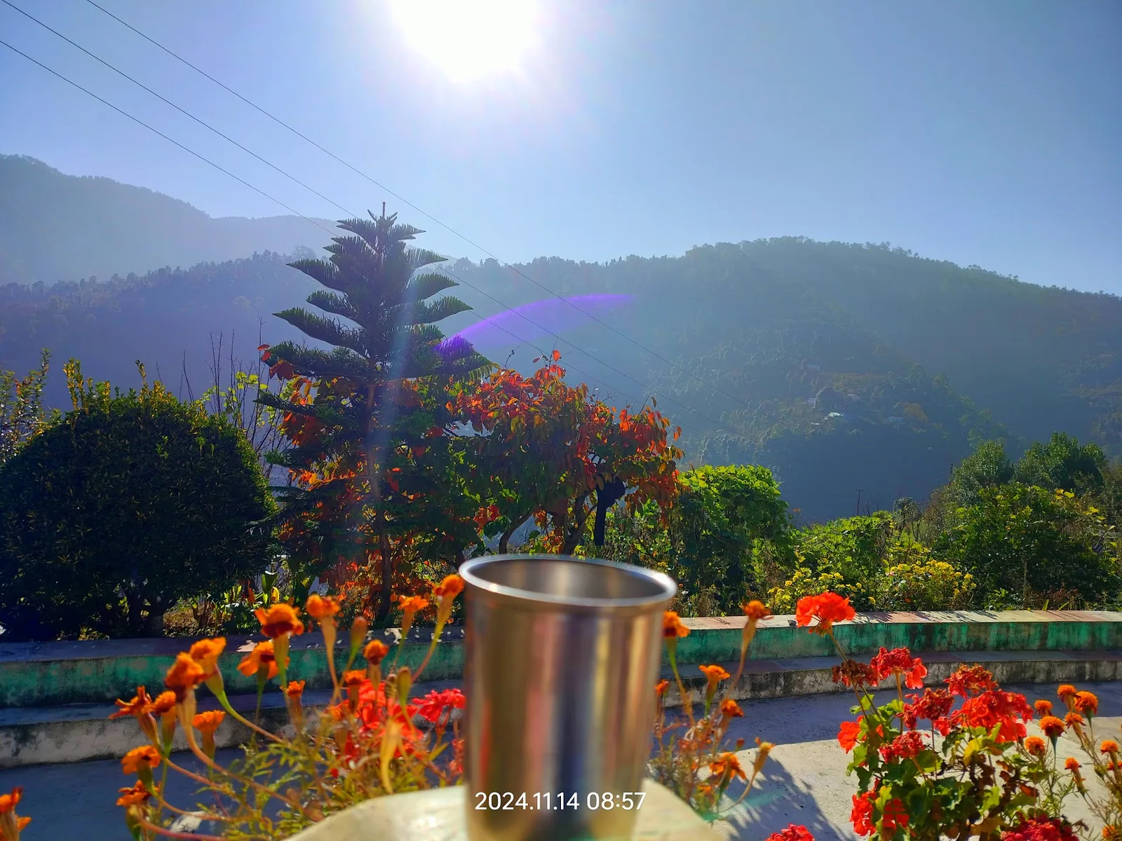 Flowers on the wall and the valley at sunset, Aa Maa's Homestay, Mukteshwar