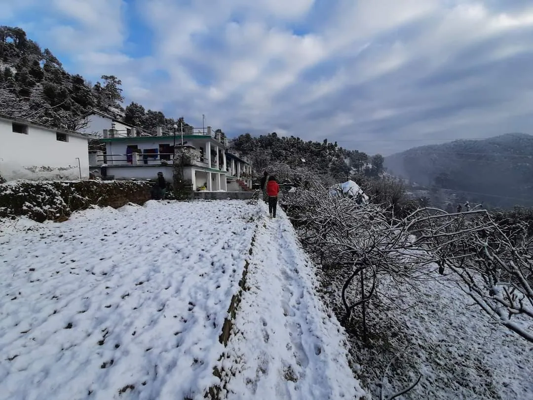 Snow at Aa Maa's Homestay in winter, Pangrari near Mukteshwar