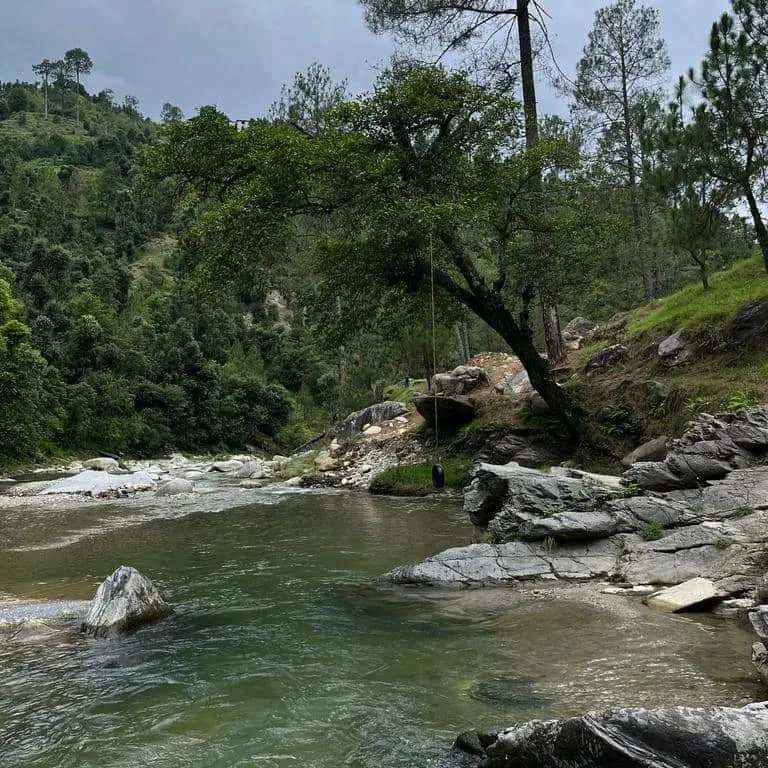 The stream in the forest below Aa Maa's Homestay, Mukteshwar