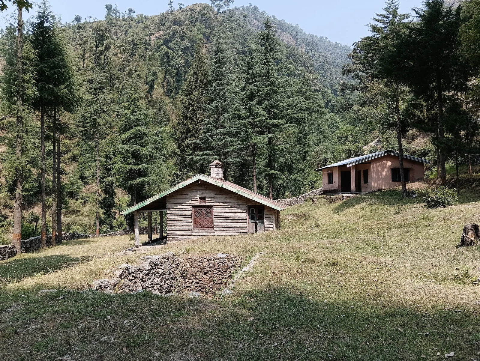 Oak and pine forest with village houses at Khirsu