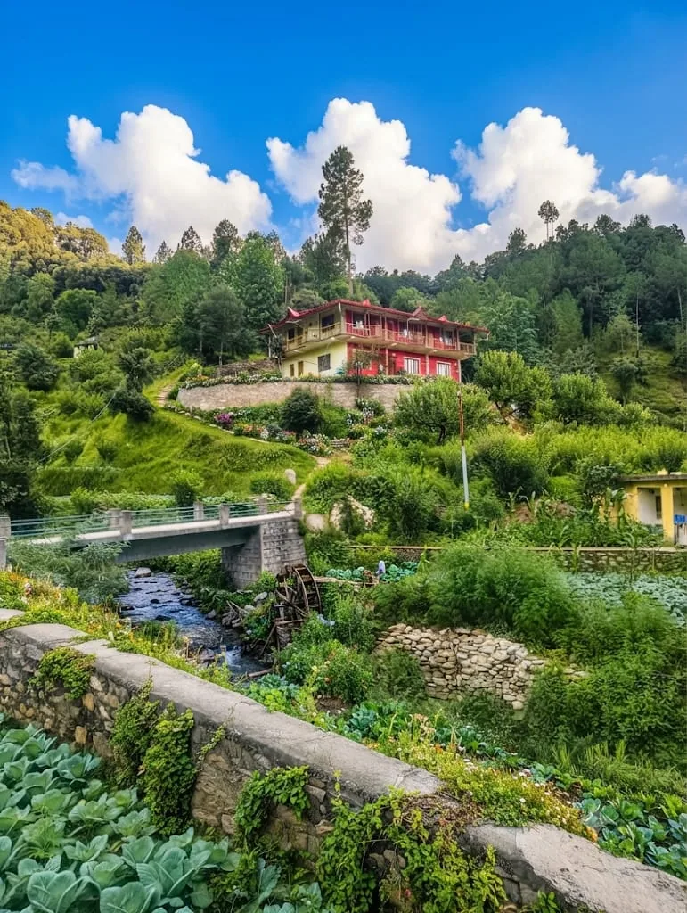 Ghughuti Homestay on the terraced hillside at Sunkiya near Mukteshwar