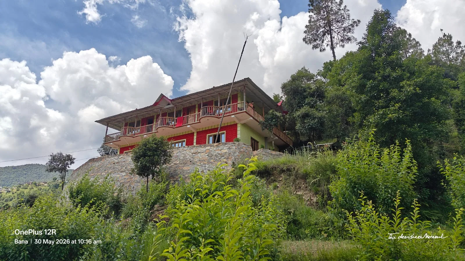 Ghughuti Homestay surrounded by trees at Sunkiya, Mukteshwar
