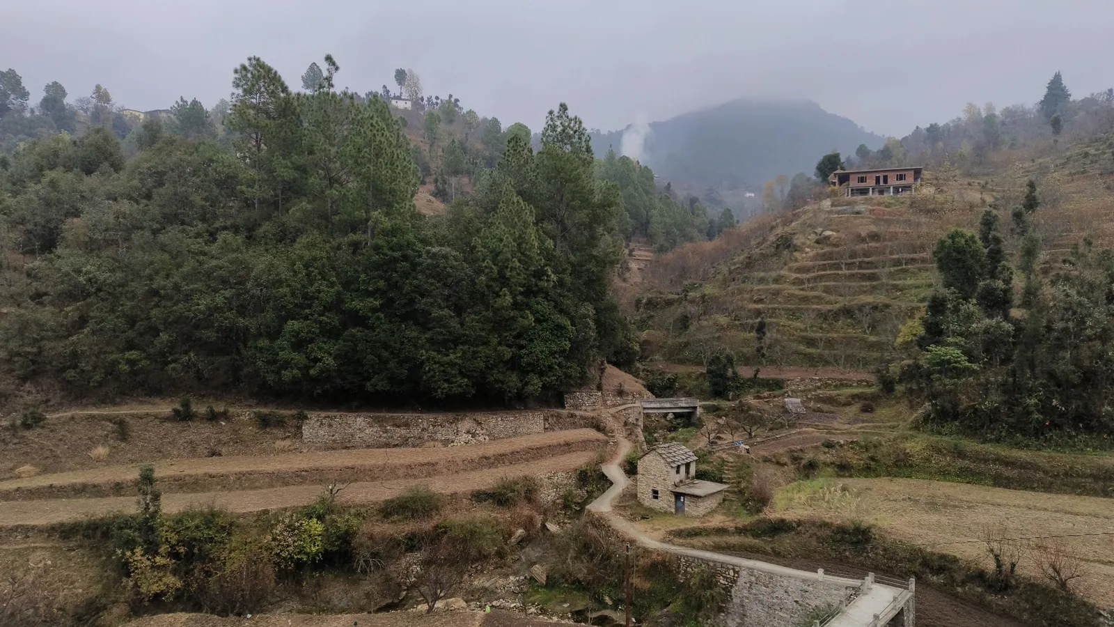 Terraced fields and the valley from Ghughuti Homestay, Sunkiya