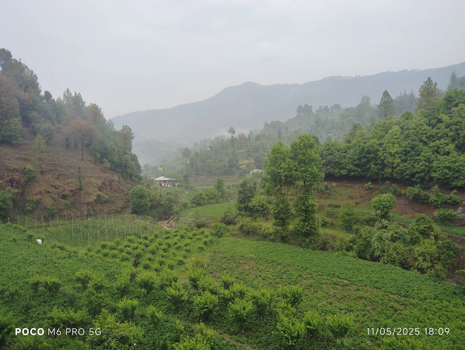 The view over Sunkiya from Ghughuti Homestay near Mukteshwar