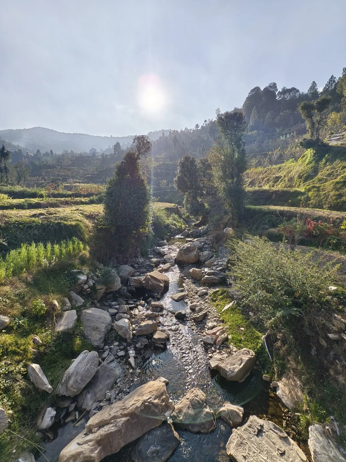 The stream below Ghughuti Homestay at Sunkiya, Mukteshwar