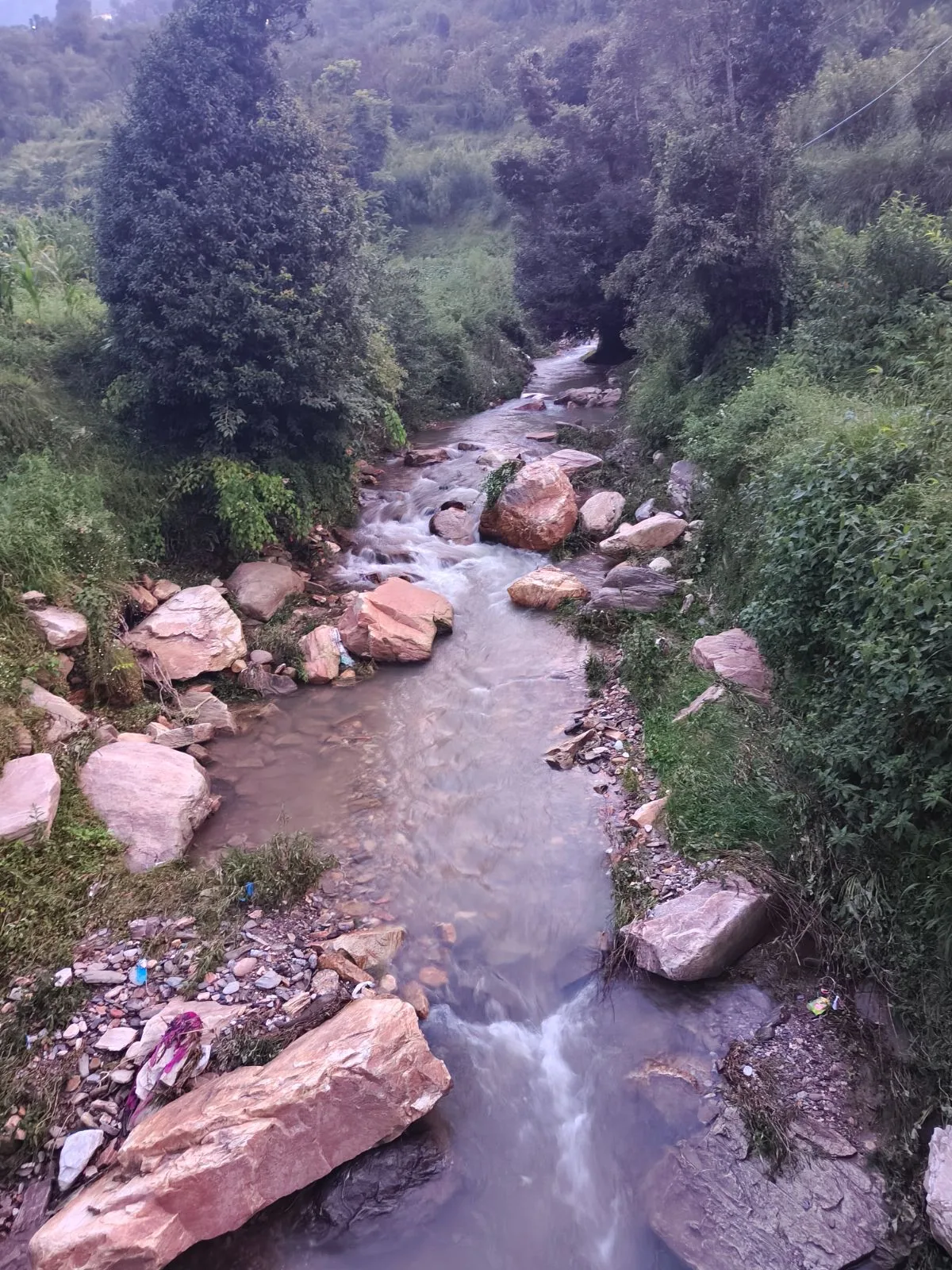 Forest stream near Ghughuti Homestay, Sunkiya