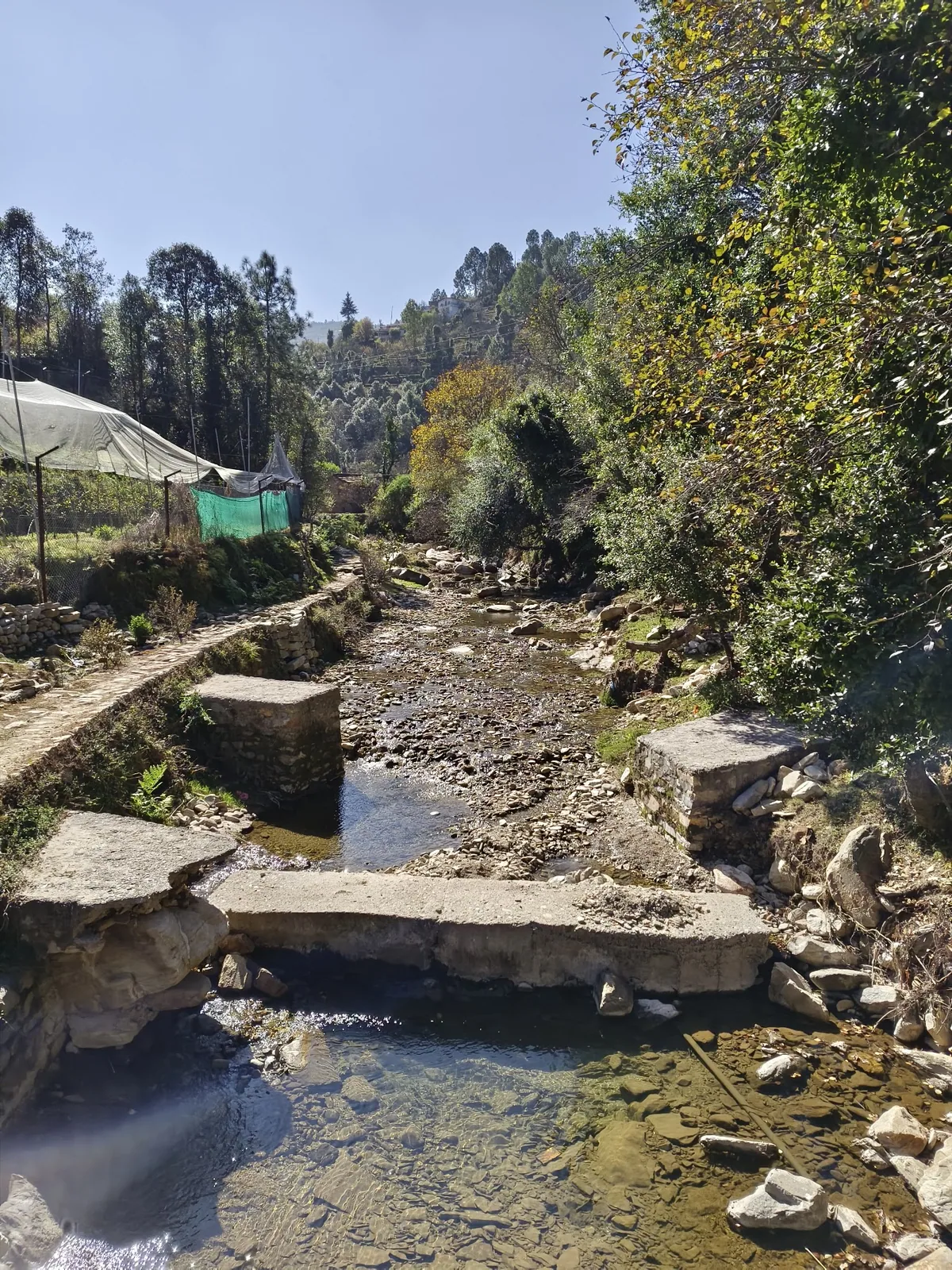Water running through the forest near Ghughuti Homestay, Sunkiya