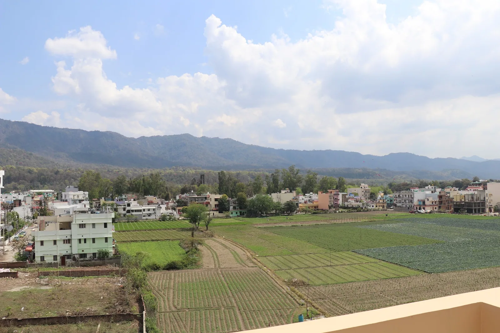 Fields and the Shivalik hills from the terrace, Little Sparrow Homestay, Rishikesh
