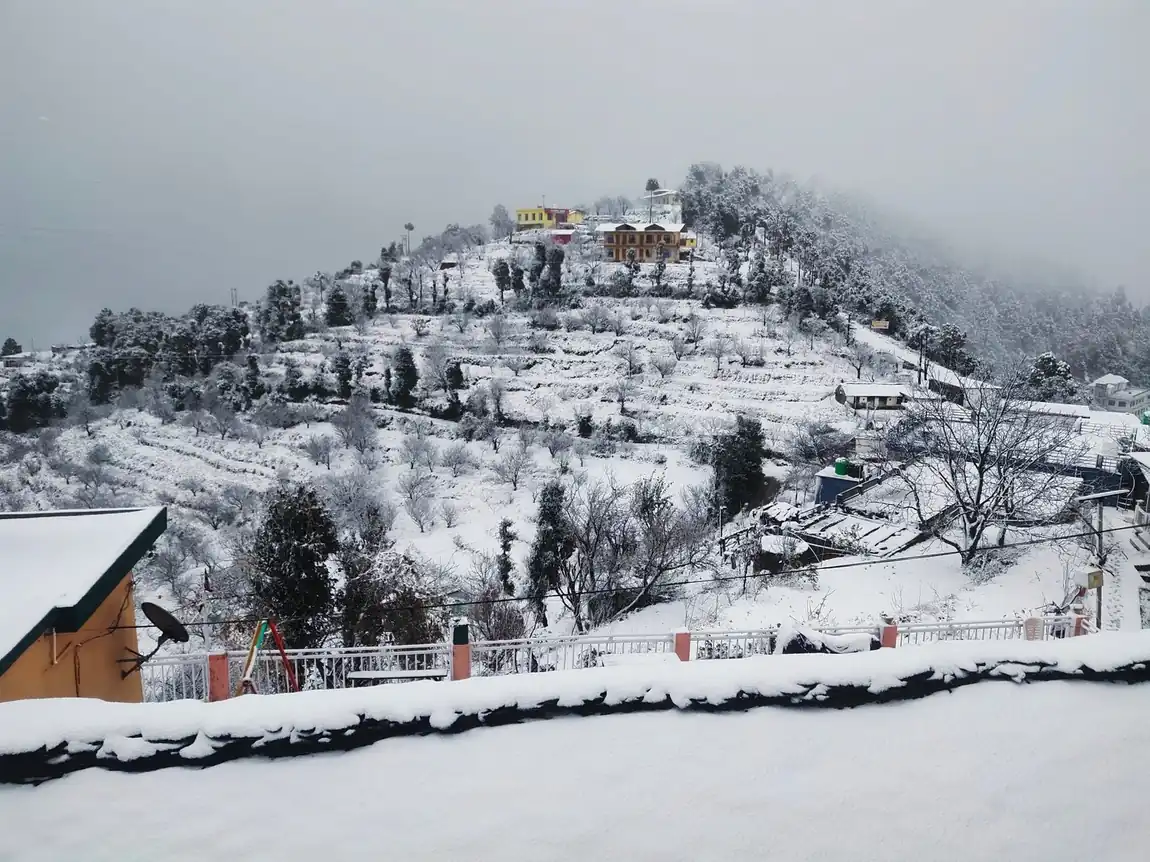 Snow on the hillside at the Kanatal homestay in winter