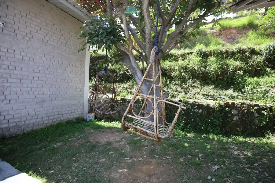 Cane swing under a tree in the homestay garden