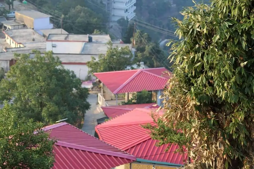 Red cottage roofs among the deodar trees at Kanatal