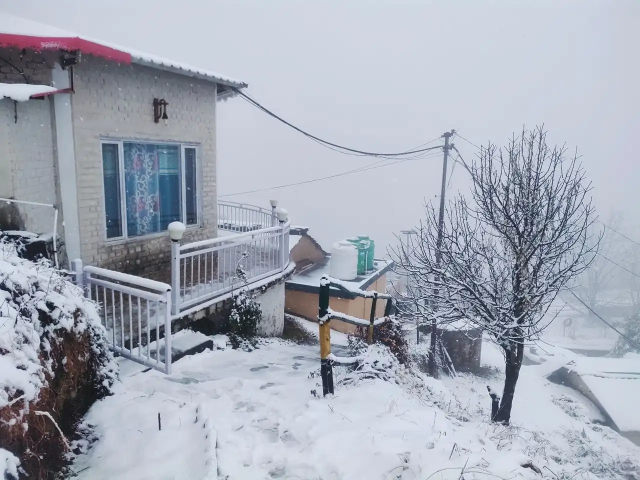 Cottage and bare winter trees after a snowfall