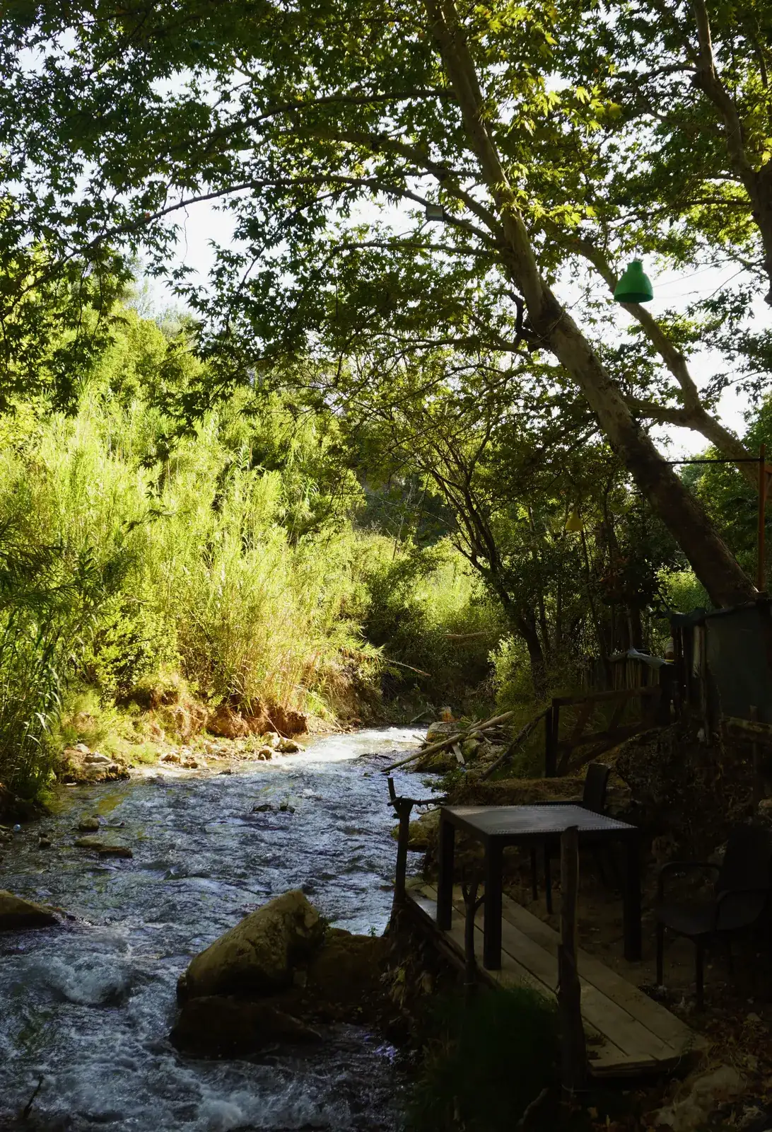 Riverside cafe deck with tables overlooking a forest stream